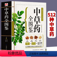 [正版]543页中草药全图鉴 全彩草药实图拍摄 中草药大全中医书籍中医养生速查全图解 常见中草药彩图大全书中药书籍本草