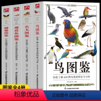 4册 鸟图鉴+名犬图鉴+观赏鱼图鉴+蝴蝶图鉴 [正版]4册 鸟图鉴 名犬图鉴 观赏鱼图鉴 蝴蝶图鉴鸟类观察手册 世界鸟类