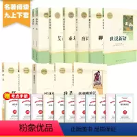 九上下 人教版套装12册 [正版]初中必读名著十二本人教版课外阅读书籍朝花夕拾西游记红星照耀中国昆虫记海底两万里骆驼祥子