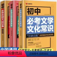 初中语文知识大全(全套3册) 初中通用 [正版]初中名著导读考点精练初中必背古诗文133篇 七八九年级文化文学常识积累中