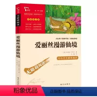 爱丽丝漫游仙境 [正版]爱丽丝漫游仙境 爱丽丝漫游奇境记书 7-9-12岁青少年儿童文学 爱丽丝梦游仙境五六年级课外阅读