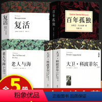 大卫科波菲尔+复活+老人与海+百年孤独 [正版]全套5册大卫科波菲尔+复活书列夫托尔斯泰+老人与海书原著 百年孤独全集完