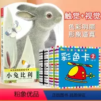 [全2本]视觉激发卡+小兔比利触摸认知书 [正版]黑白卡片彩色卡 新生儿黑白卡片婴儿早教卡0到3个月婴儿黑白卡宝宝视觉激