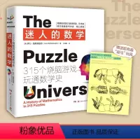 [正版]迷人的数学:315个烧脑游戏玩通数学史2024新版315个经典游戏开发大脑潜能玩通数学史大脑游戏数学思维训练一