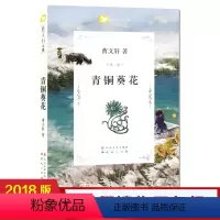 [正版]暑假读物 青铜葵花 曹文轩 天天出版社 9-12-14岁儿童文学故事书 三四五六年级青少年课外书籍小学生成长小