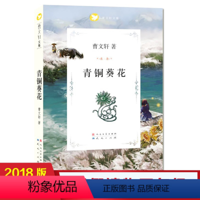 [正版]暑假读物 青铜葵花 曹文轩 天天出版社 9-12-14岁儿童文学故事书 三四五六年级青少年课外书籍小学生成长小