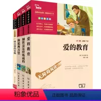 [正版]海底两万里+爱的教育+钢铁是怎样炼成的+绿山墙的安妮智慧熊 7-9-10-11-12岁儿童文学图书 三四五六年
