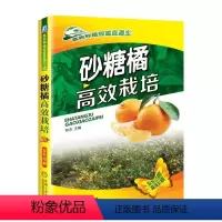 [正版]砂糖橘高效栽培 砂糖橘优质高产栽培关键技术书籍 砂糖橘种植技术教程 果树栽培书籍 无籽沙糖橘高效栽培新技术 柑