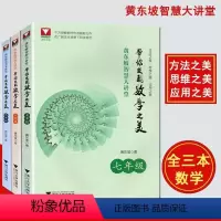 带你发现数学之美7/8/9年级(3本) [正版]黄东坡智慧大讲堂 带你发现数学之美 七八九年级/789年级数学 中学培优