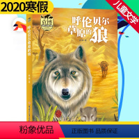 [正版]2020寒假呼伦贝尔草原的狼袁博动物小说新经典儿童文学少年儿童课外阅读书籍讲述自然和生命本质的哲理北方妇女儿童