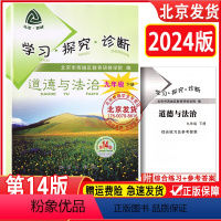 道德与法治 九年级下 [正版]2024春版学习探究诊断 九年级道德与法治下册 第14版 人教版 北京西城 初三政治下