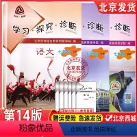 语数英3册 七年级下 [正版]2024新版 北京西城学习探究诊断 七年级下册 第14版 语文+数学+英语套三本学探诊