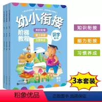 [正版]幼儿识字书 幼小衔接阶梯教程 看图快速认字教辅 幼儿园大班升一年级学前幼儿阅读与识字书启蒙早教书全套3册2-3