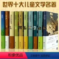 [正版]世界十大儿童文学名著 10册老人与海童年昆虫记格列佛游记汤姆索亚历险记海底两万里钢铁是怎样炼成鲁滨逊漂流记爱的