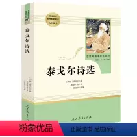 [正版]泰戈尔诗选(人民教育出版社) 9年级上册书目初中统编语文配套阅读飞鸟集完整版人教版