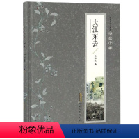 [正版]大江东去 张恨水著 张恨水小说全集典藏版 中国现当代文学 啼笑因缘 金粉世家 张恨水作品集书籍 张恨水 安徽文