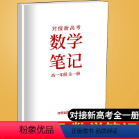 [正版]全新对接新高考数学笔记高一年级全一册 高中复习资料参考用书高一年级上下册学霸提分笔记数学复习开明出版社