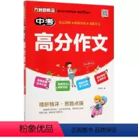 [正版]方洲新概念 中考高分作文初中生通用语文作文书写作文辅导思路拓展范文模板仿写初一二三年级语文记叙文议论文应用文写