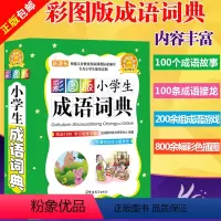 [正版]说词解字系列工具书 彩图版小学生成语词典 成语5500 学习信息丰富生动收词量大 图文并茂功能多样 小学生学习