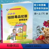 [正版]青少年禁毒预防犯罪宣传系列读本 高中生预防毒品犯罪教育读本高中生高一 一年级上下册高中禁毒教育宣传书本