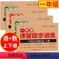[正版] 老师彩卷 一年级课堂同步训练 一年级语文上下册+一年级数学上下册测试卷下册 单元卷月考卷提高卷 专项卷期中期