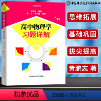 [正版] 高中物理学习题详解 中科大 高中物理解题方法与技巧高中物理竞赛教辅习题详解怎样解题强基计划专题精编物理辅导资