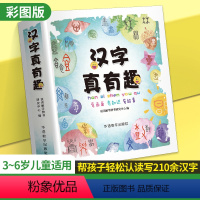 [正版]汉字真有趣 彩图注音阅读宝宝儿童亲子读物早教益智动脑开发3456岁识字认字书汉字卡片看图幼升小启蒙卡学习片绘本