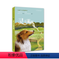 单本 [正版]灵犬莱西 打动孩子心灵的动物经典 儿童文学经典名著二年级三年级四五六年级小学生课外书阅读物故事书老师童书少