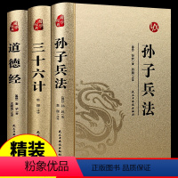 [正版]全套3册高启强同款孙子兵法 书原版原著无删减原文白话文译文带注释青少年小学生版中国国学儿童版与三十六计36计商