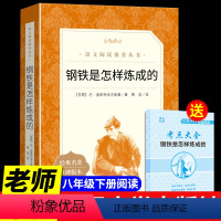 [正版]钢铁是怎样炼成的必读原著 人民文学出版社梅益译初中生八年级下册课外书籍怎么样怎么练成原版名著 小学生课外书完整