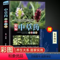 [正版]精装完整版 中草药彩图大全书 精编本草纲目李时珍书籍大全原色图谱神农本草经老中医全图鉴医书籍大全中医基础理论中