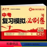 中考复习模拟必刷卷--数学 九年级/初中三年级 [正版]备考2024中考必刷卷题数学九年级初三中考总复习资料书模拟七八九