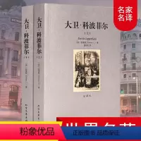 [正版]大卫·科波菲尔(上下)狄更斯著 全译本足本无删节中文版 青少年版 外国世界文学名著小说书籍 大卫科波菲尔