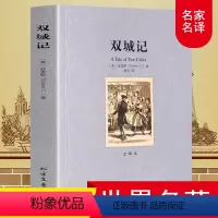 [正版]足本无删减双城记(全译本)/世界文学名著外国经典小说书籍 (英)狄更斯著 名家名译中文版无删节 初中高中课外读