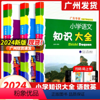 [广东专版]语+数+英 3本 小学通用 [正版]广东专版小学语文数学英语知识大全 2024版经纶学典 河海大学内含广东地