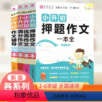 [全4册]小升初作文全套 小学通用 [正版]易佰作文小升初作文押题作文满分作文辅导一本全小学生三四五六年级作文书大全分类