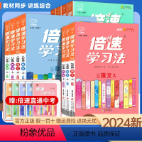 七年级全套[语数英政史地生] 七年级下 [正版]2024 倍速学习法七八九年级下册语文数学英语物理化学政治历史地理生物人