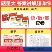 推荐套装3本⭐语文+数学+英语 小学通用 [正版]2025小白鸥星空小升初招生真题超详解数学语文英语毕业分班真题重点中学