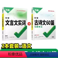 [文言文实词+古诗文60篇]2本 初中通用 [正版]文言文实词虚词专项训练阅读理解全解七八九年级初一初二初三资料书202