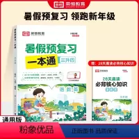 [单本]暑假预复习3升4语数英 小学通用 [正版]2024版暑假预复习一本通升学衔接一二三四五六年级上册人教版小学暑假作