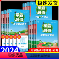 ★推荐★[4本]语文+数学 小学一年级 [正版]2024学霸的暑假衔接一升二升三升四升五升六年级下册数学计算思维题大通关