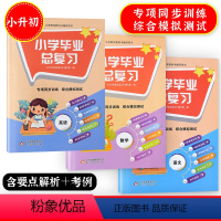 [全3册]语数英 小学六年级 [正版]小学毕业总复习书卷语文数学英语全国通用小考基点重难点专项同步训练冲刺小学六年级升初