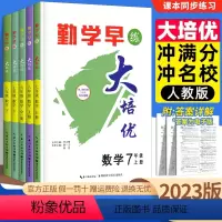[人教版]数学 九年级/初中三年级 [正版]2023勤学早练系列大培优数学七八九年级数学勤学早大培优压轴题好好卷七年级八
