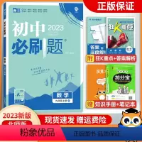 数学[人教版] 九年级上 [正版]2023版 初中九上数学北师大版/人教版/华师版 初三9年级上册数学同步训练练习册 理