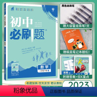 数学 八年级下 [正版]2023 初二下学期数学 人教版RJ 八年级下册数学同步训练练习册复习资料 理想树八年级下册数学