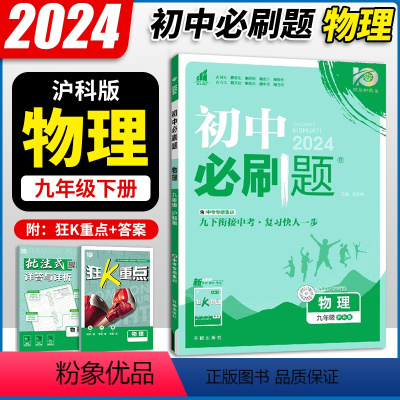 物理 九年级下 [正版]HK版2024春新版初中九年级下册物理 沪科版 初三九年级下册物理同步训练练习册 理想树初三物理