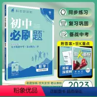 数学 九年级下 [正版]HS版2023春新版 初中九年级下册数学 华师版 初三九年级下册数学同步训练练习册 理想树初三数