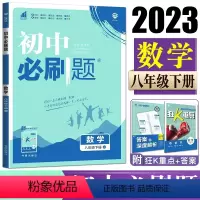 数学 八年级/初中二年级 [正版]HS版2023版 初中必刷题八年级下册数学 华师版 初二下册数学同步训练练习册 理想树