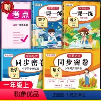 推荐[共4本]语文+数学试卷+同步训练 一年级下 [正版]2024新版一年级上册下册试卷测试卷全套人教版语文数学1年级上