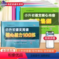 [4本套装]小升初语文阅读核心能力100练+核心内容考前集训语数英 小学升初中 [正版]2024新版小升初语文数学英语核